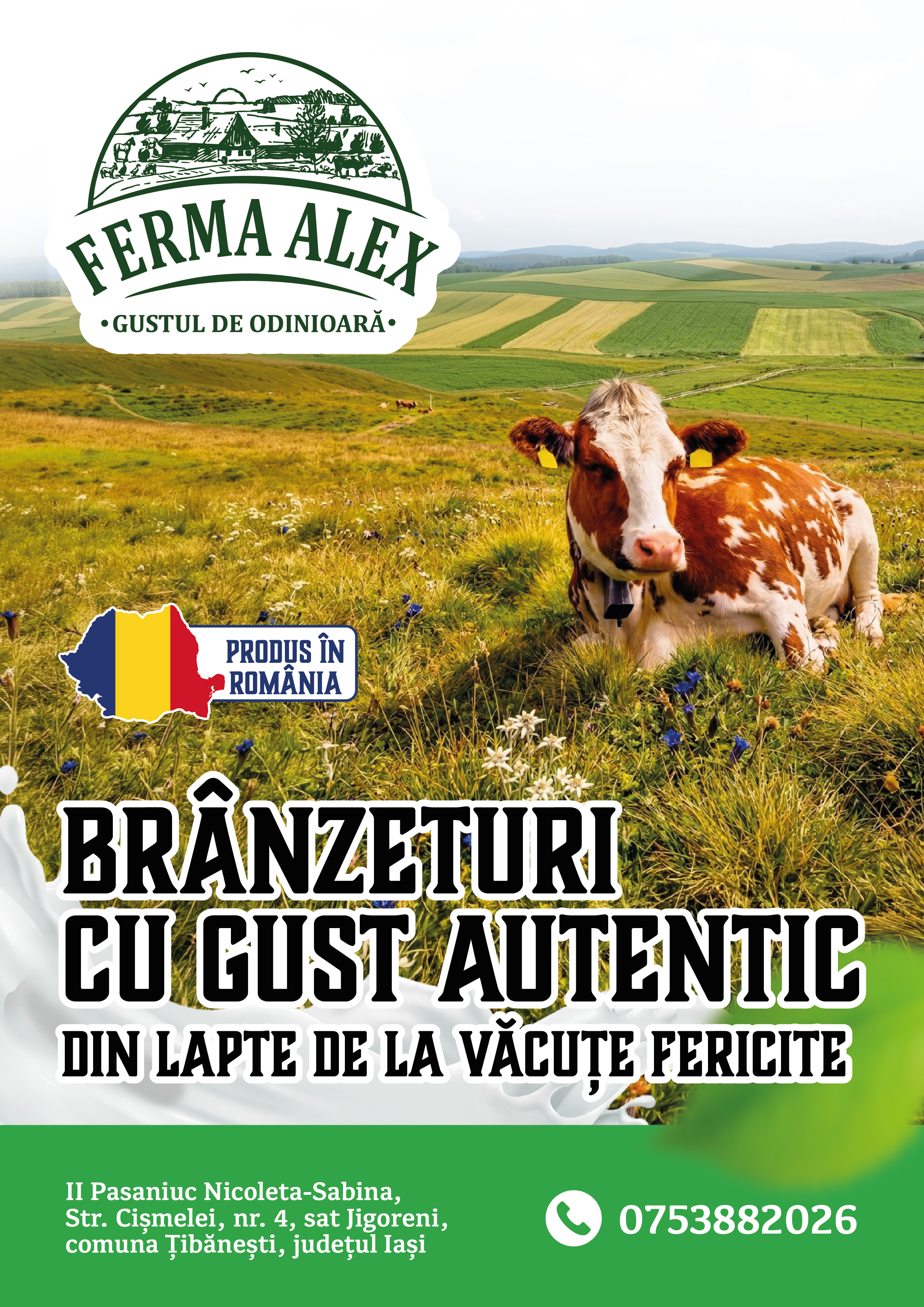 Afiș Ferma Alex 01